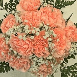 Meet your Posher, Kirsten